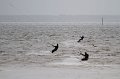 2011-03-29-Kite-Surf-au-Betey-06